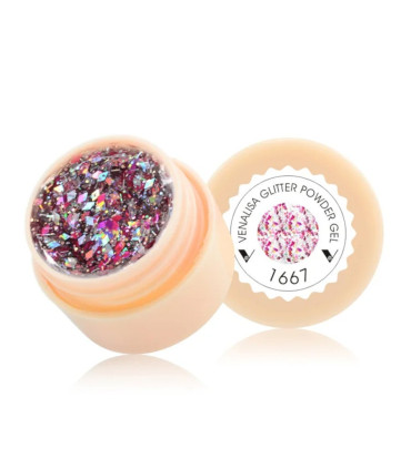 Gel paint 1667 5ml Venalisa