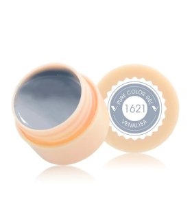 Gel paint 1621 5ml Venalisa