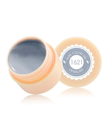 Gel paint 1621 5ml Venalisa