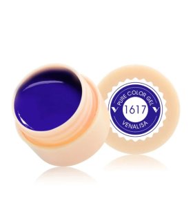 Gel paint 1617 5ml Venalisa