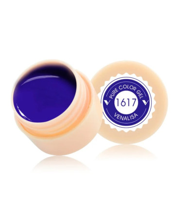 Gel paint 1617 5ml Venalisa