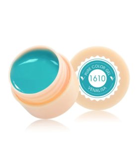 Gel paint 1610 5ml Venalisa