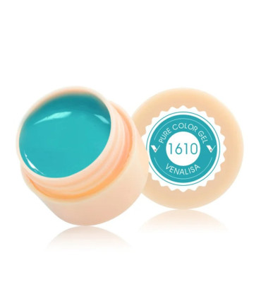 Gel paint 1610 5ml Venalisa
