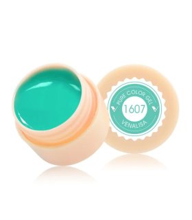 Gel paint 1607 5ml Venalisa