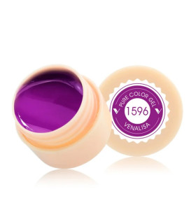 Gel paint 1596 5ml Venalisa