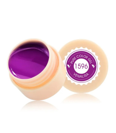 Gel paint 1596 5ml Venalisa