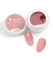 Gel paint V64 Mud 5gr Venalisa