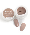 Gel paint V22 Mud 5gr Venalisa
