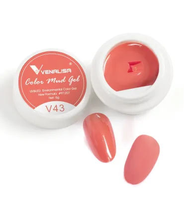 Gel paint V43 Mud 5gr Venalisa