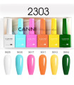 Kit 2303 esmaltes Gel SIN HEMA 9ml CANNI (Set 6 colores)