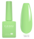 Esmalte 9019 semipermanente Hema Free 9ml CANNI CC1