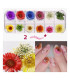 Kits de flores secas para uñas 2