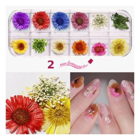 Kits de flores secas para uñas 2