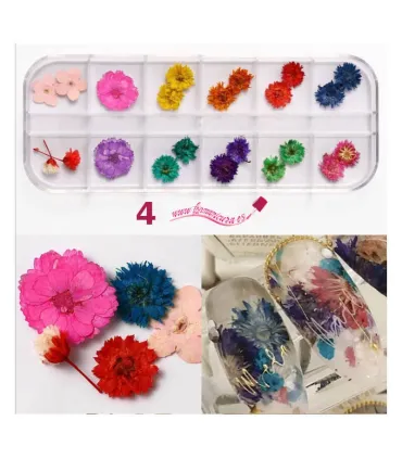 Kits de flores secas para uñas 4